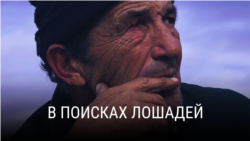 "В поисках лошадей". Режиссер: Стефан Павлович "В поисках лошадей". Режиссер: Стефан Павлович