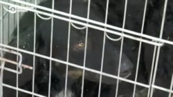 Репортаж Настоящего Времени из затопленного Херсона Репортаж Настоящего Времени из затопленного Херсона