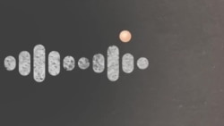 Реальный разговор: "Исламское государство" Россия Реальный разговор: "Исламское государство" Россия