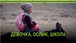 "Девочка, ослик, школа". Документальный фильм "Девочка, ослик, школа". Документальный фильм
