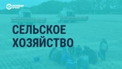 "Успехи по большей части дутые": разбираем послание Путина с экономическим обозревателем Радио Свобода Максимом Блантом "Успехи по большей части дутые": разбираем послание Путина с экономическим обозревателем Радио Свобода Максимом Блантом