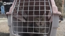 В Херсонской области продолжается эвакуация. Самая сложная ситуация в оккупированных населенных пунктах  В Херсонской области продолжается эвакуация. Самая сложная ситуация в оккупированных населенных пунктах