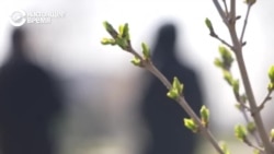 "Силой заставляли мою дочку делать это": в Бишкеке 13-летнюю девочку почти год насиловали 10 мужчин "Силой заставляли мою дочку делать это": в Бишкеке 13-летнюю девочку почти год насиловали 10 мужчин