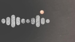 Реальный разговор: День победы Реальный разговор: День победы