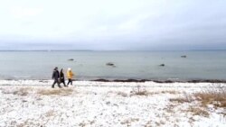 Балтия. Док: из России в Эстонию в поисках свободы Балтия. Док: из России в Эстонию в поисках свободы