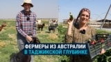 Семья фермеров из Австралии обосновалась в Таджикистане: держат скот, делают сыр и внедряют новые технологии