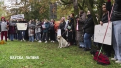 "Это было убийство!" В Латвии протесты после того, как охотник застрелил трех чужих собак "Это было убийство!" В Латвии протесты после того, как охотник застрелил трех чужих собак