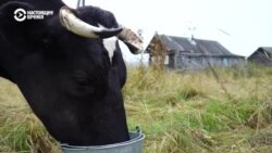 Человек на карте: как профессиональный военный стал фермером Человек на карте: как профессиональный военный стал фермером