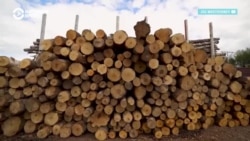 Как Казахстан и Кыргызстан помогают обходить западные санкции Как Казахстан и Кыргызстан помогают обходить западные санкции