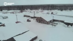 Человек на карте: буренки Заполярья Человек на карте: буренки Заполярья