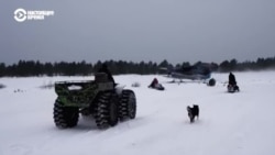 Признаки жизни: зима в Летней Золотице
 Признаки жизни: зима в Летней Золотице