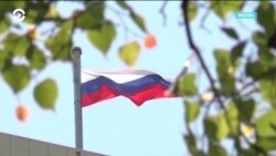 Неделя: выборы в Европарламент и новый путь Украины Неделя: выборы в Европарламент и новый путь Украины