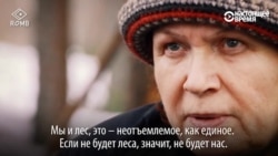 Сунские "партизаны" победили чиновников: лес в Карелии вырубать не будут Сунские "партизаны" победили чиновников: лес в Карелии вырубать не будут