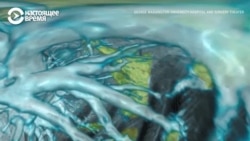 Как выглядят легкие человека, который заболел коронавирусом: 3D-анимация Как выглядят легкие человека, который заболел коронавирусом: 3D-анимация