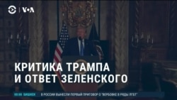 Америка: Трамп критикует Зеленского, американцы заводят кур  Америка: Трамп критикует Зеленского, американцы заводят кур