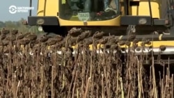 Как работают украинские фермеры на линии фронта Как работают украинские фермеры на линии фронта