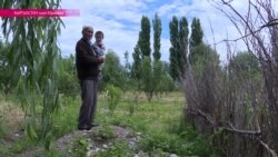 Туда и обратно: как возвращение на историческую родину превращается в невыполнимый квест Туда и обратно: как возвращение на историческую родину превращается в невыполнимый квест