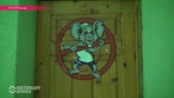 Новогодний "сюрприз" для переселенца Новогодний "сюрприз" для переселенца