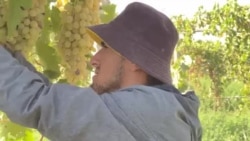 Из России на родину возвращаются трудовые мигранты из Таджикистана: как им живется и хватает ли денег? Из России на родину возвращаются трудовые мигранты из Таджикистана: как им живется и хватает ли денег?