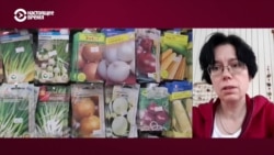 "Этот способ выживания станет шире географически": экономист предсказывает рост популярности дач в России "Этот способ выживания станет шире географически": экономист предсказывает рост популярности дач в России