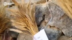 Ждем в гости: в хлебном краю Грузии Ждем в гости: в хлебном краю Грузии