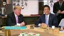 Неделя: Трамп в Японии Неделя: Трамп в Японии