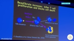 Как побороть рак – главные медицинские открытия 2018 года Как побороть рак – главные медицинские открытия 2018 года