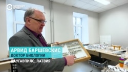 История энтомолога из Латвии: он открыл сто новых видов жуков и называет их в честь известных соотечественников История энтомолога из Латвии: он открыл сто новых видов жуков и называет их в честь известных соотечественников