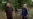 16x9 Image
