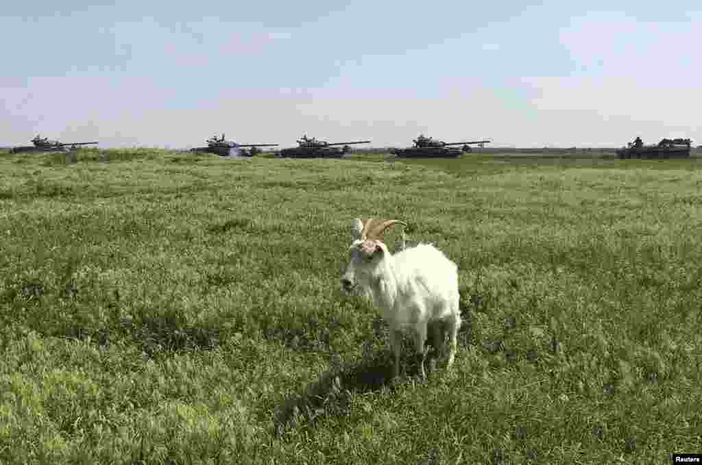 Безмолвный свидетель передвижения военной техники на границе России и Украины  