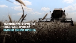 "Может это последний год, когда мы собираем урожай": украинские фермеры работают, несмотря на наступление России "Может это последний год, когда мы собираем урожай": украинские фермеры работают, несмотря на наступление России