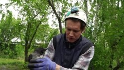 Ученый из Екатеринбурга работает зооспасателем Ученый из Екатеринбурга работает зооспасателем
