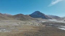 Азия 360°: памятник чабану Таштанбеку при жизни Азия 360°: памятник чабану Таштанбеку при жизни