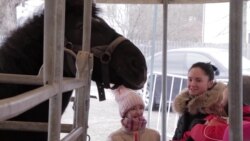 Чешский цирк не может вернуться из Риги из-за карантина Чешский цирк не может вернуться из Риги из-за карантина