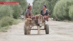 Рабочий на один день: зачем таджики в приграничных районах каждый день ездят в Кыргызстан Рабочий на один день: зачем таджики в приграничных районах каждый день ездят в Кыргызстан